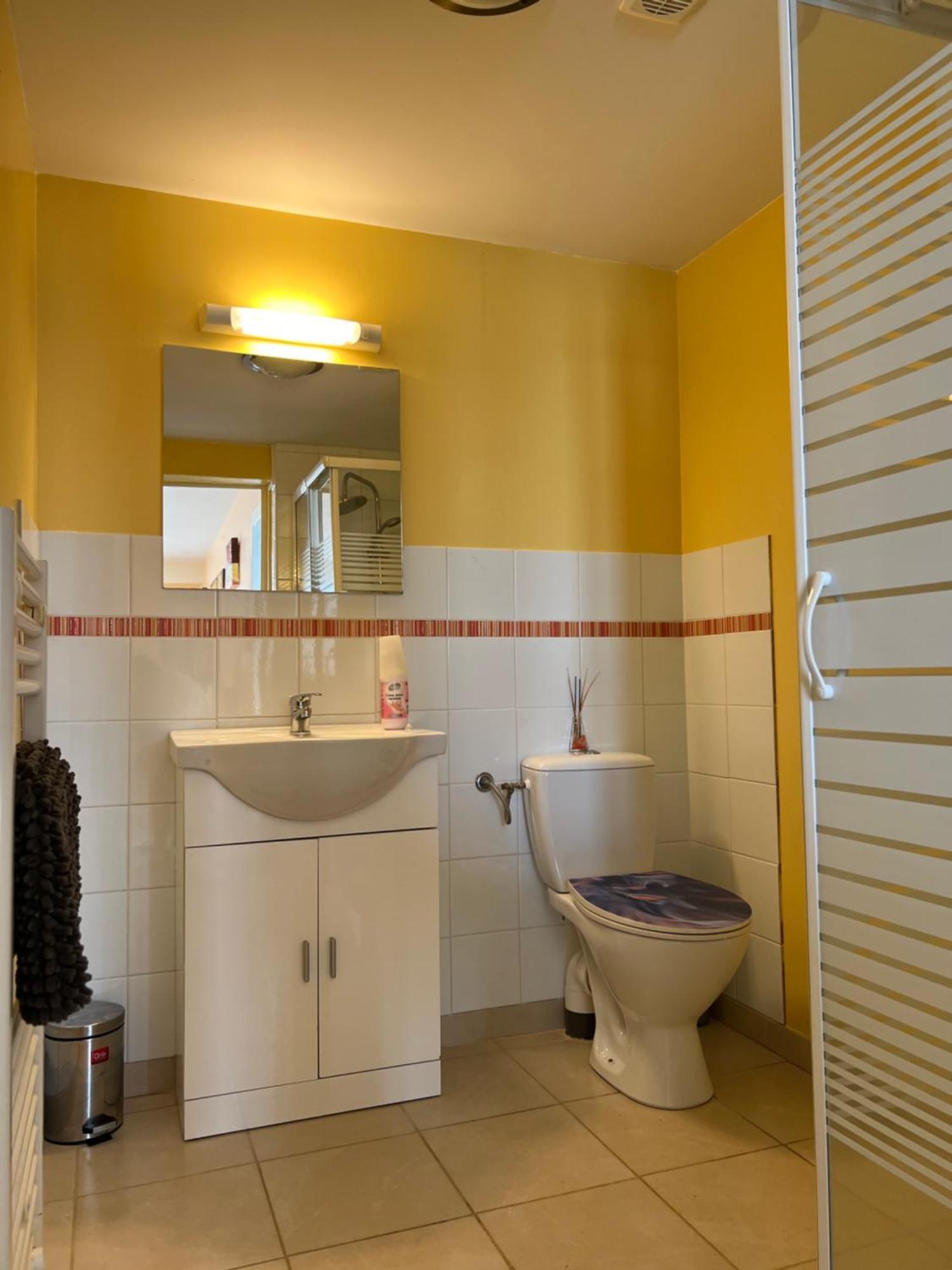 Gite Du St Martin Apartment Oradour-Fanais Exterior photo